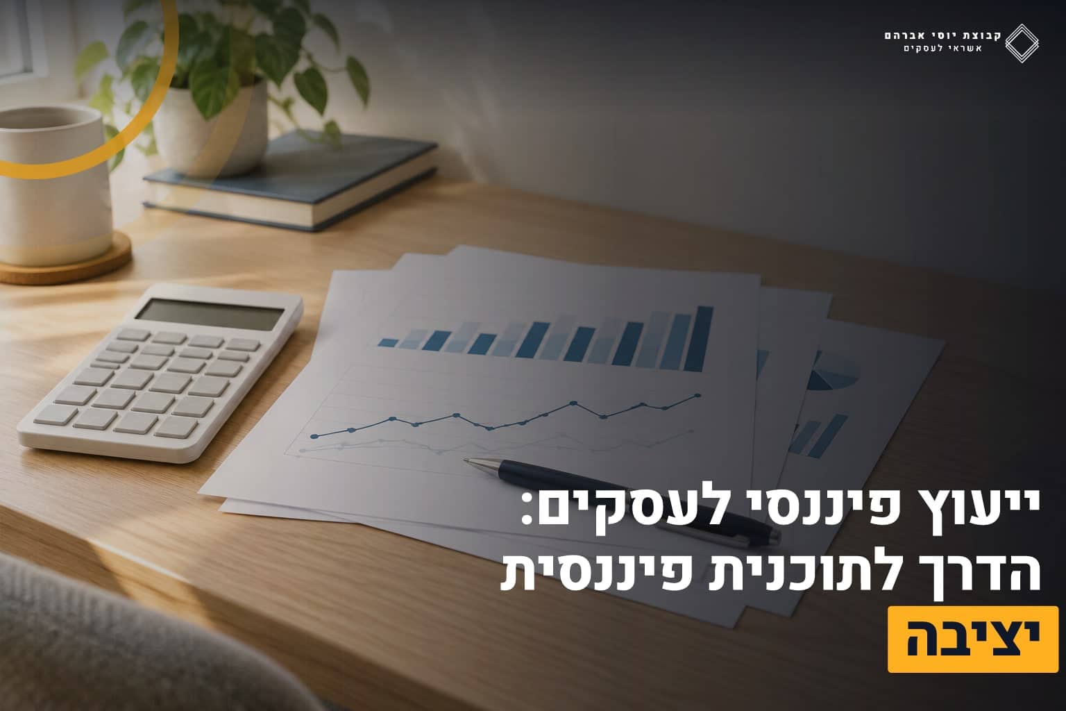 ייעוץ פיננסי לעסקים